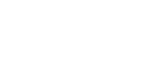 Microsoft Partner